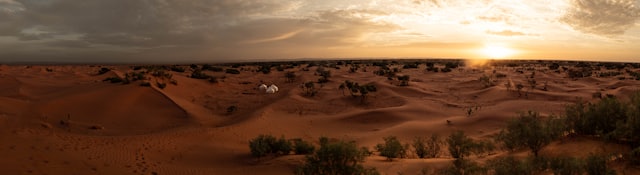 The Sahara